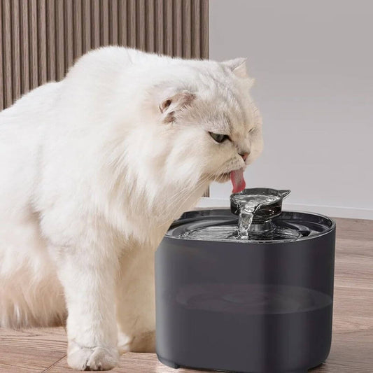 fontaine à eau chat | refreshing and purifying™ - opaschats