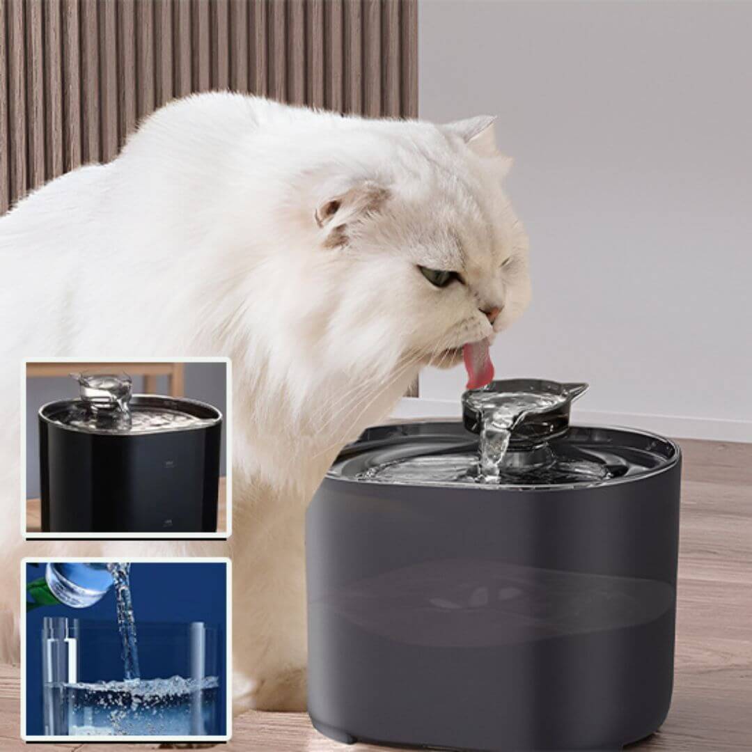 fontaine à eau chat | refreshing and purifying™ - opaschats