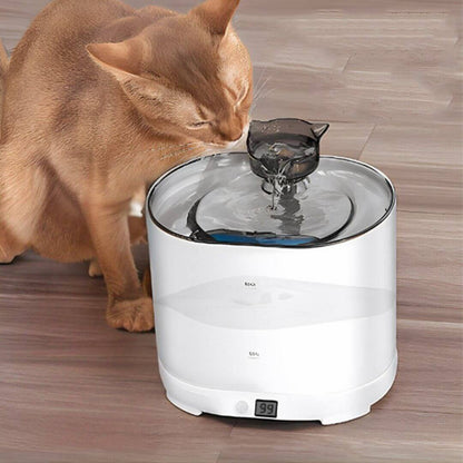 FONTAINE A EAU CHAT | Refreshing And Purifying™ - opaschats