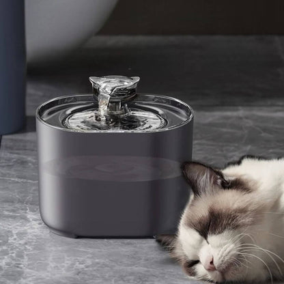 FONTAINE A EAU CHAT | Refreshing And Purifying™ - opaschats