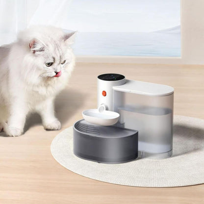 FONTAINE A EAU CHAT | Ruisseau Chatoyant™ - opaschats