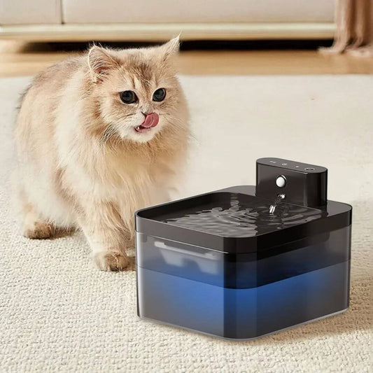 FONTAINE A EAU CHAT | Ruisseau des Compagnons™ - opaschats