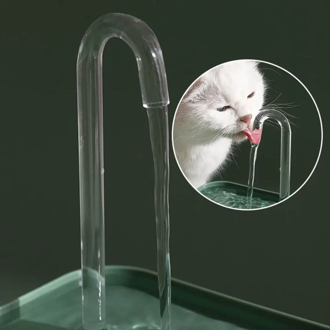 FONTAINE A EAU CHAT | Style Robinet™ - opaschats