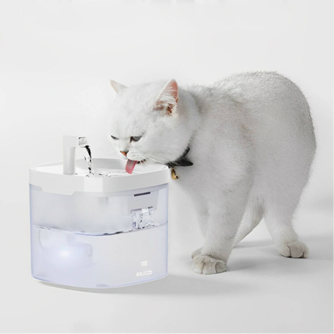 FONTAINE A EAU POUR CHAT | Pureté Aqua™ - opaschats