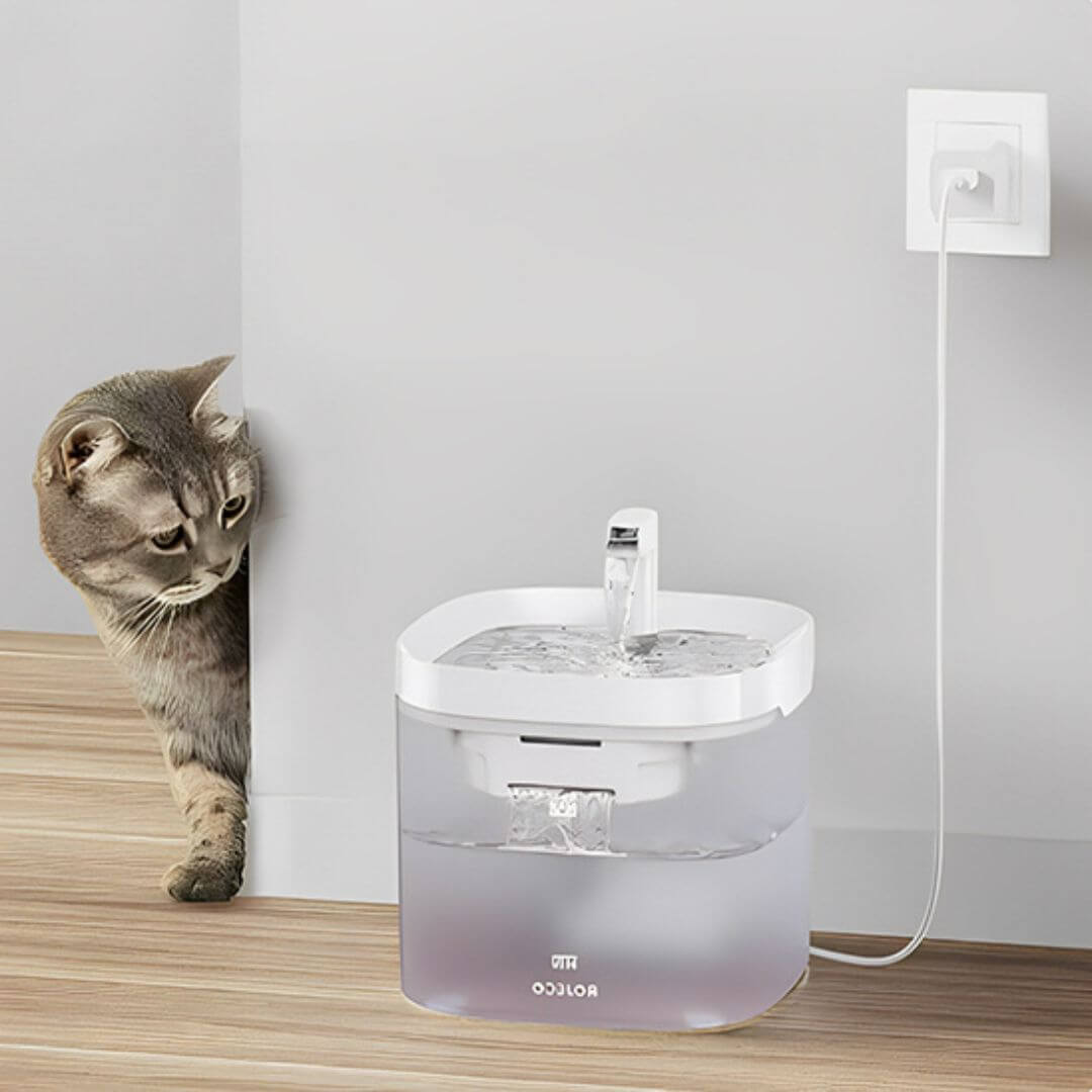 FONTAINE A EAU POUR CHAT | Pureté Aqua™ - opaschats