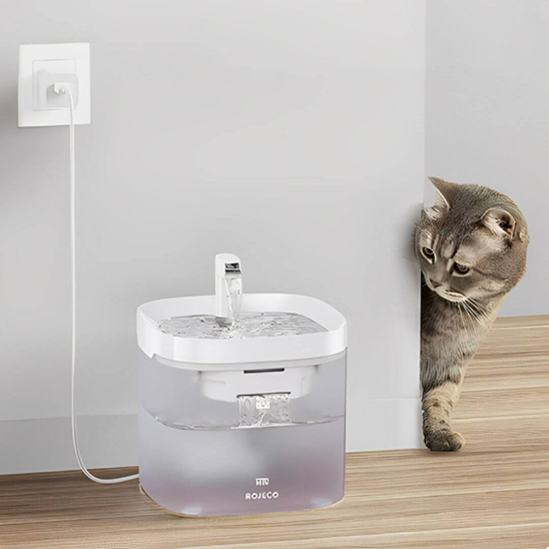 FONTAINE A EAU POUR CHAT | Pureté Aqua™ - opaschats