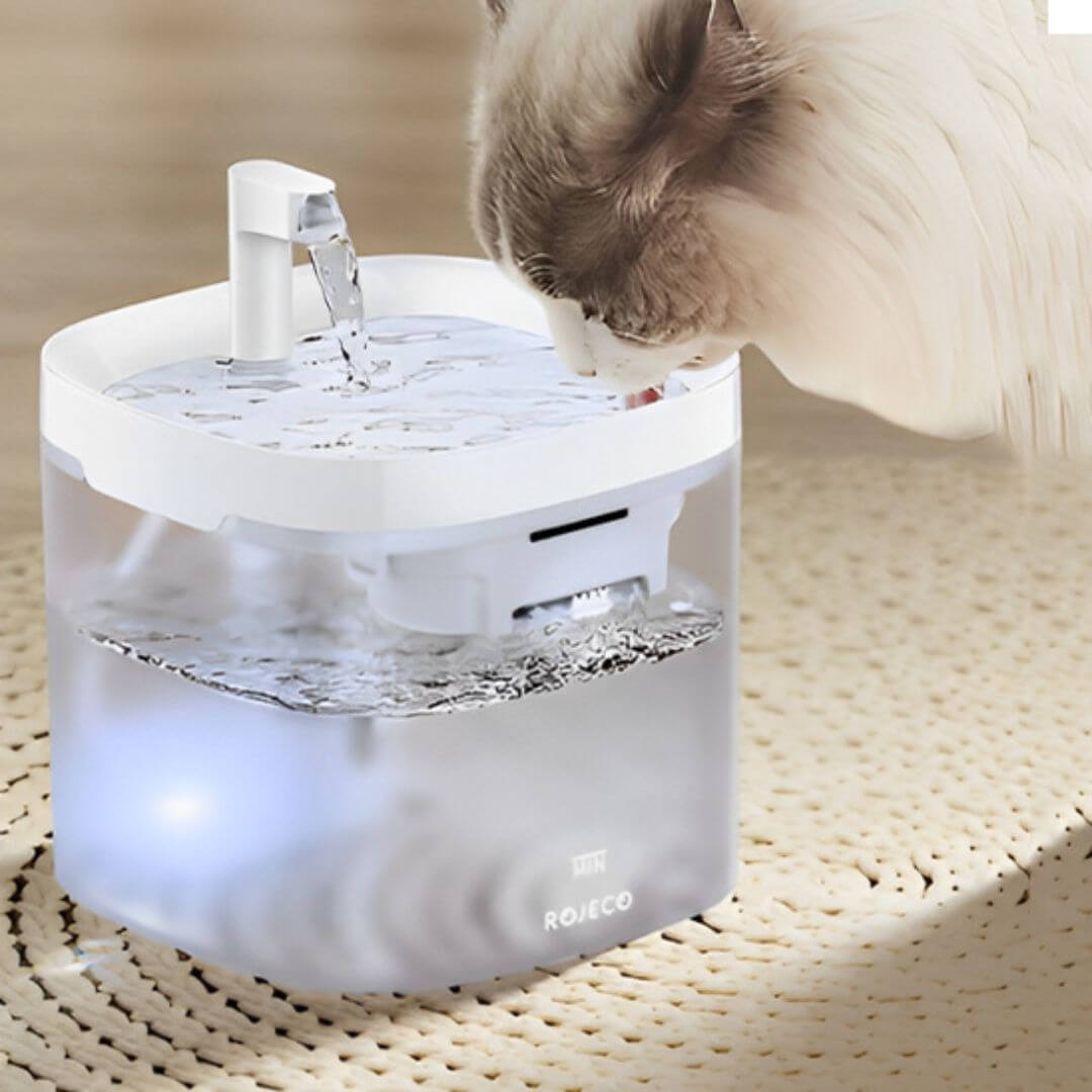 FONTAINE A EAU POUR CHAT | Pureté Aqua™ - opaschats