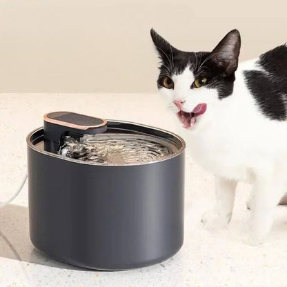 FONTAINE EAU CHAT | Design Épuré™ - opaschats