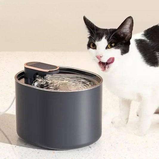 FONTAINE EAU CHAT | Design Épuré™ - opaschats
