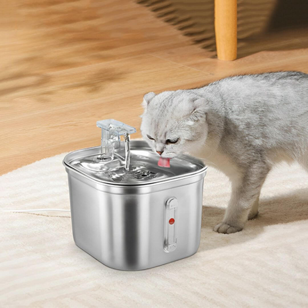 FONTAINE EAU CHAT | Fontaine Des Ronrons™ - opaschats