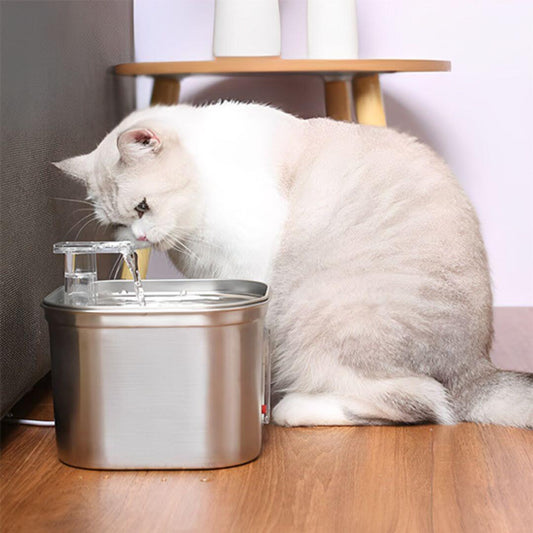 FONTAINE EAU CHAT | Fontaine Des Ronrons™ - opaschats