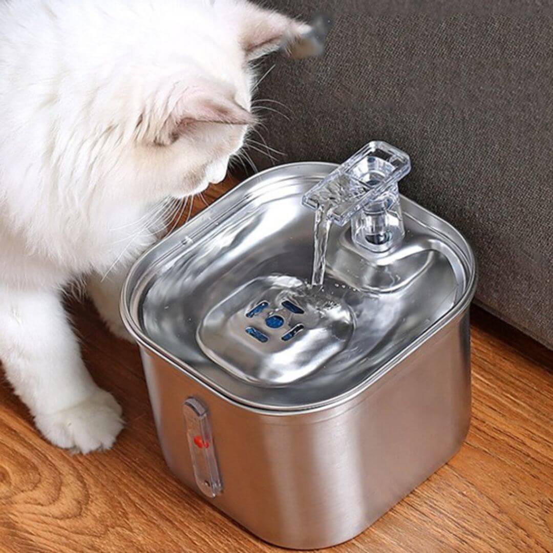 FONTAINE EAU CHAT | Fontaine Des Ronrons™ - opaschats