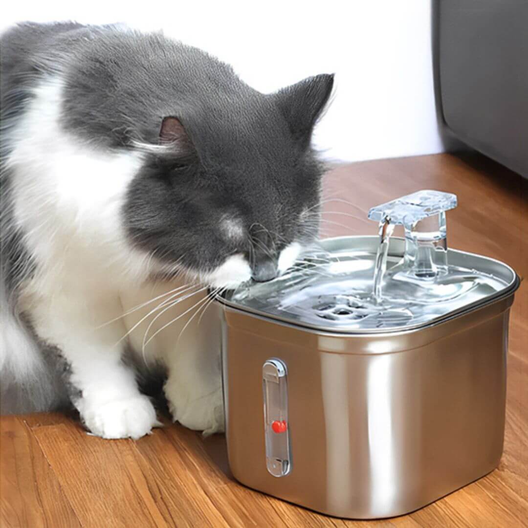 FONTAINE EAU CHAT | Fontaine Des Ronrons™ - opaschats