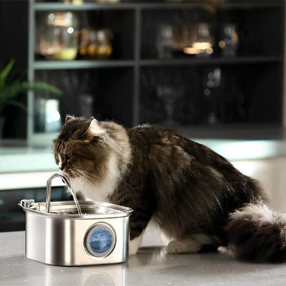 FONTAINE EAU CHAT | Fontaine Pureté™ - opaschats