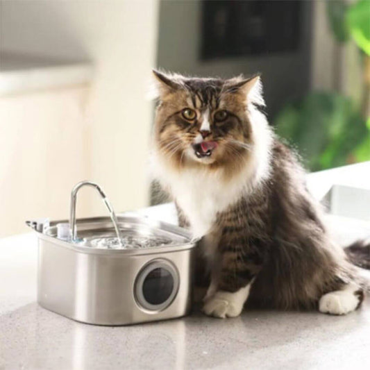 FONTAINE EAU CHAT | Fontaine Pureté™ - opaschats