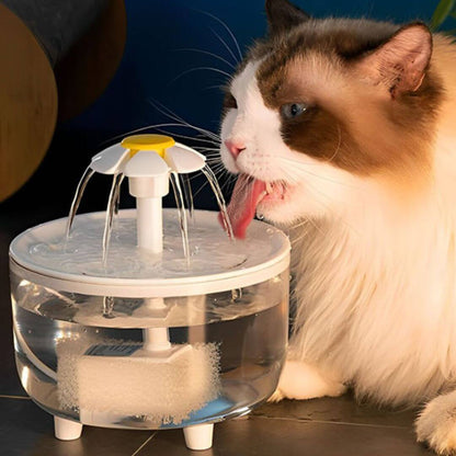 fontaine eau chat | parapluie - opaschats
