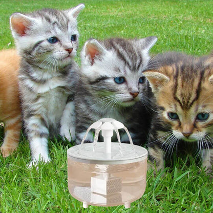 fontaine eau chat | parapluie - opaschats