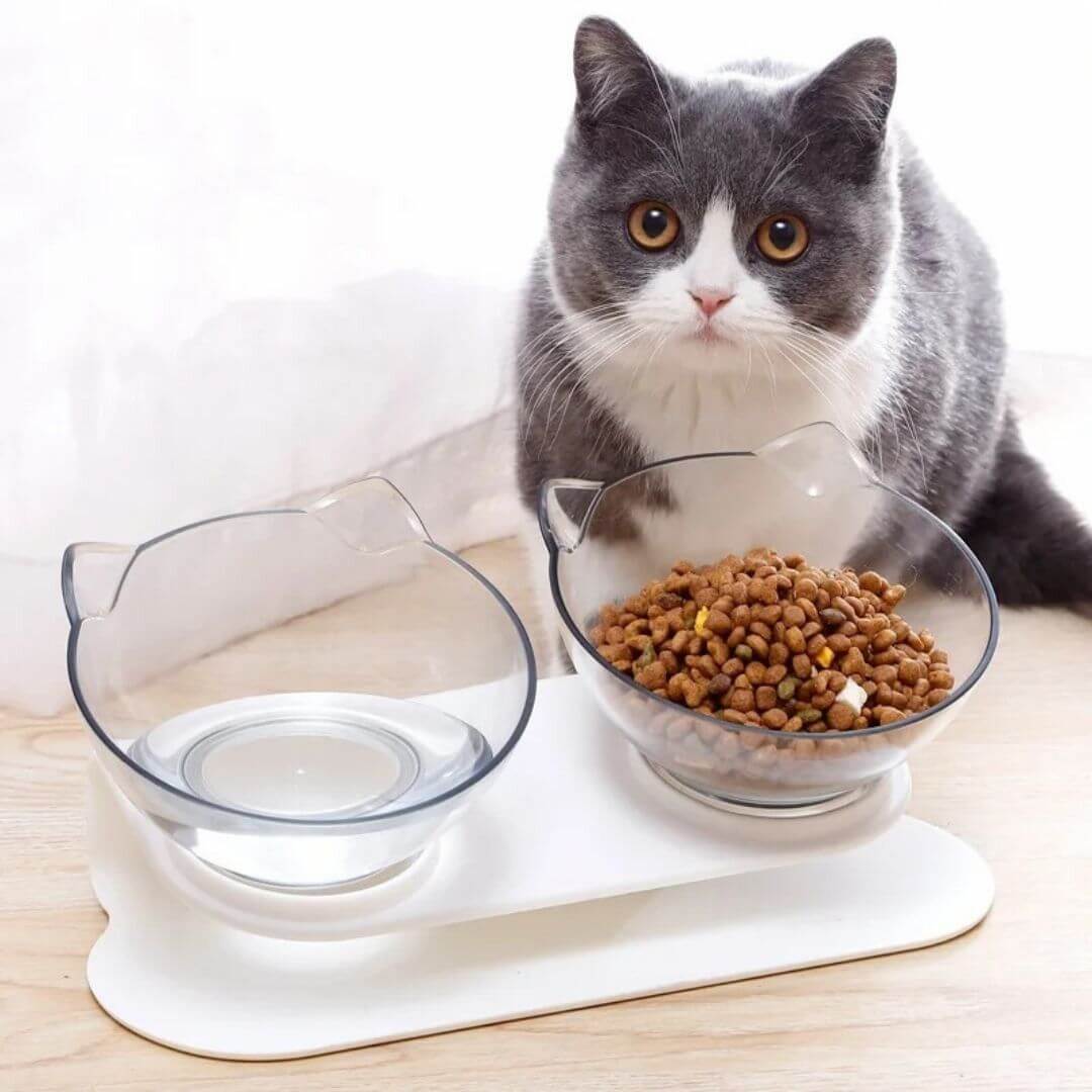 gamelle anti glouton chat | bowl adapt™ - opaschats