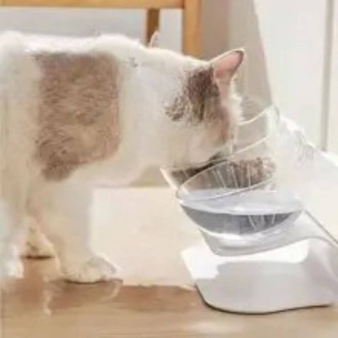 gamelle anti glouton chat | bowl adapt™ - opaschats