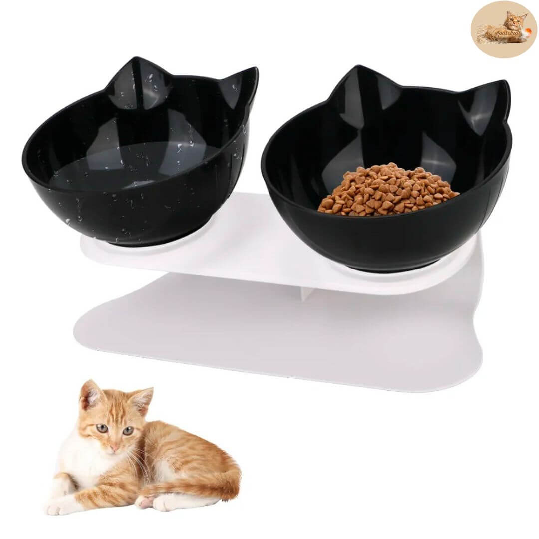 gamelle-anti-glouton-chat-design