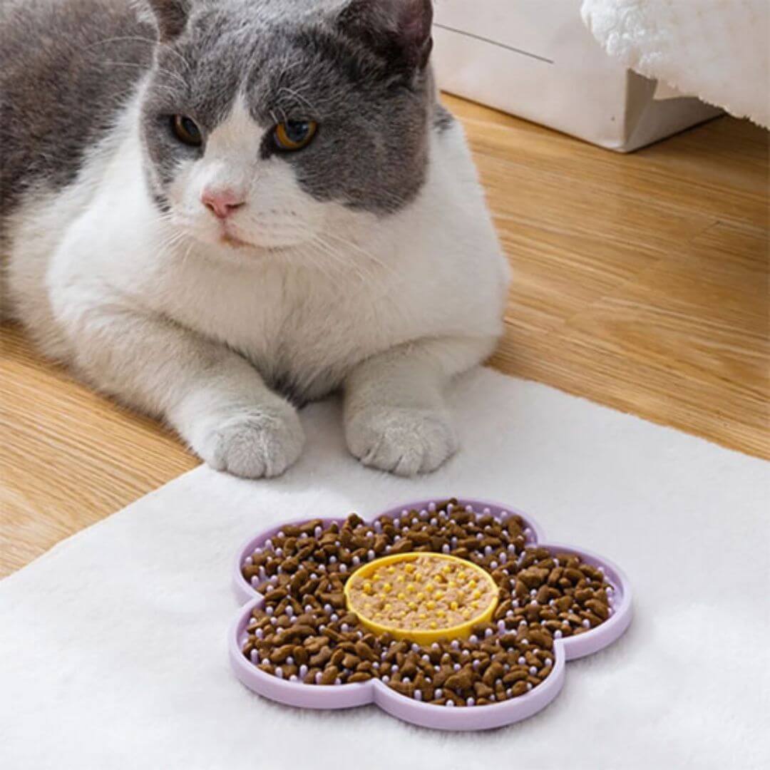 GAMELLE ANTI GLOUTON CHAT | Fleur Délice™ - opaschats