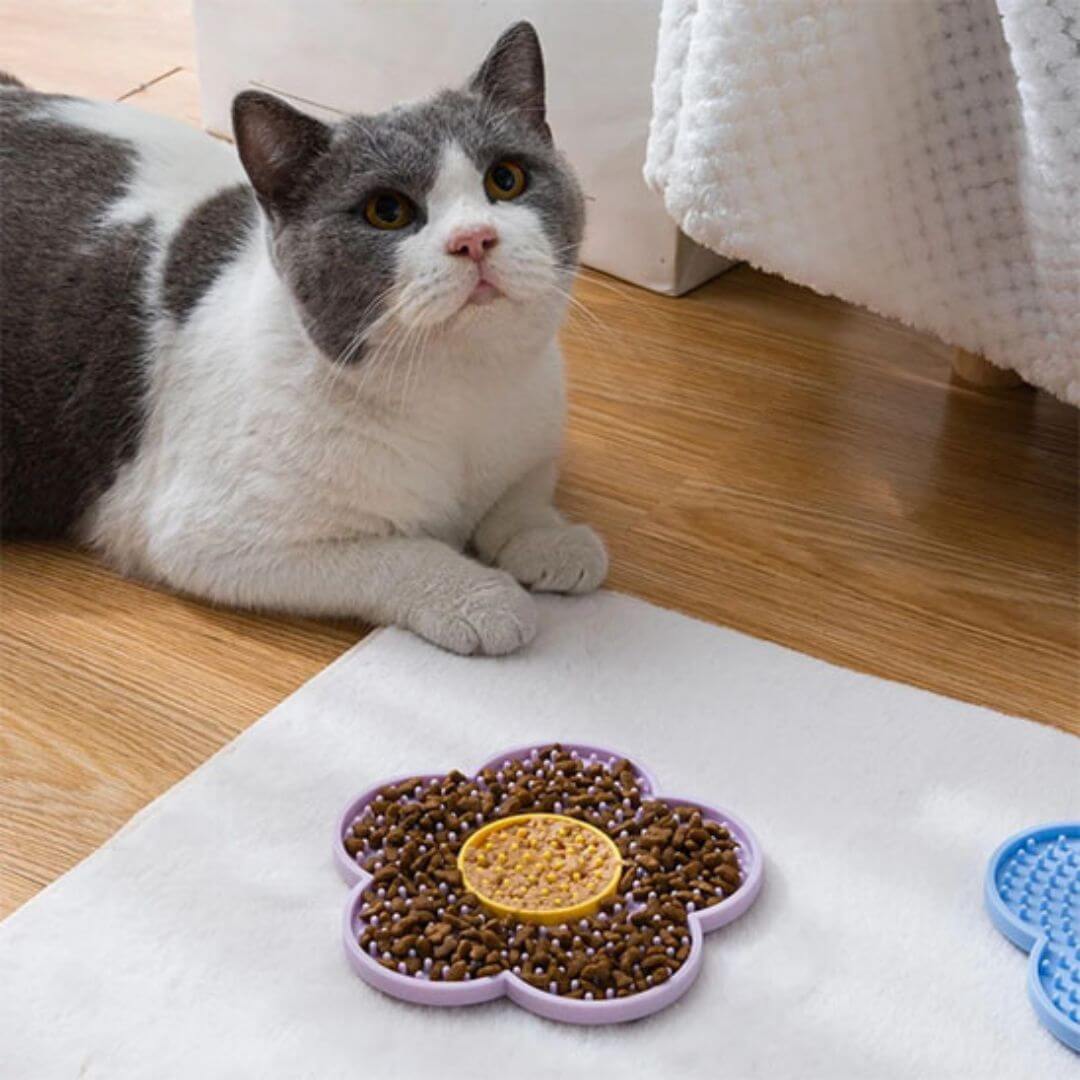 GAMELLE ANTI GLOUTON CHAT | Fleur Délice™ - opaschats