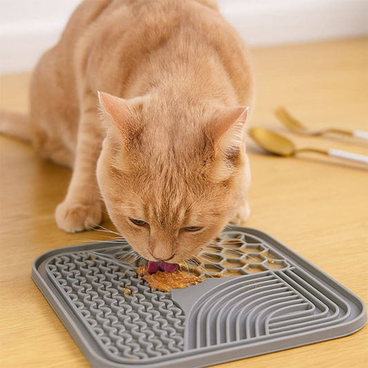 GAMELLE ANTI GLOUTON | Poisson Chat™ - opaschats