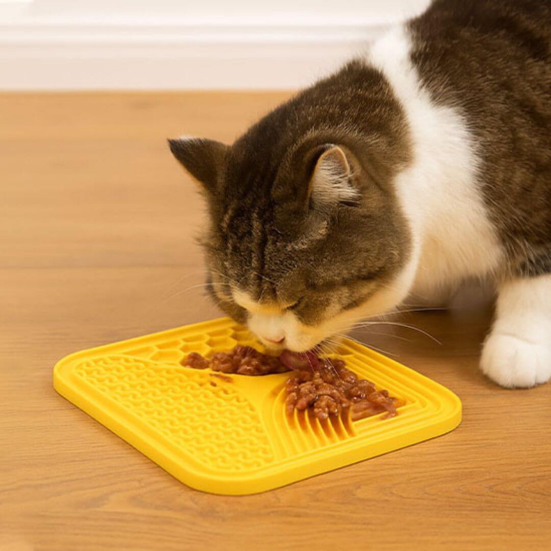 GAMELLE ANTI GLOUTON | Poisson Chat™ - opaschats