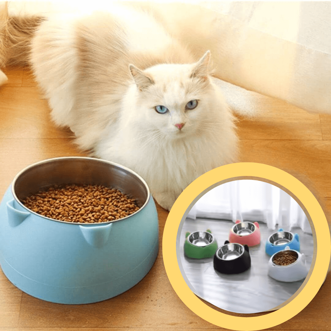 gamelle chat | chattounette - opaschats