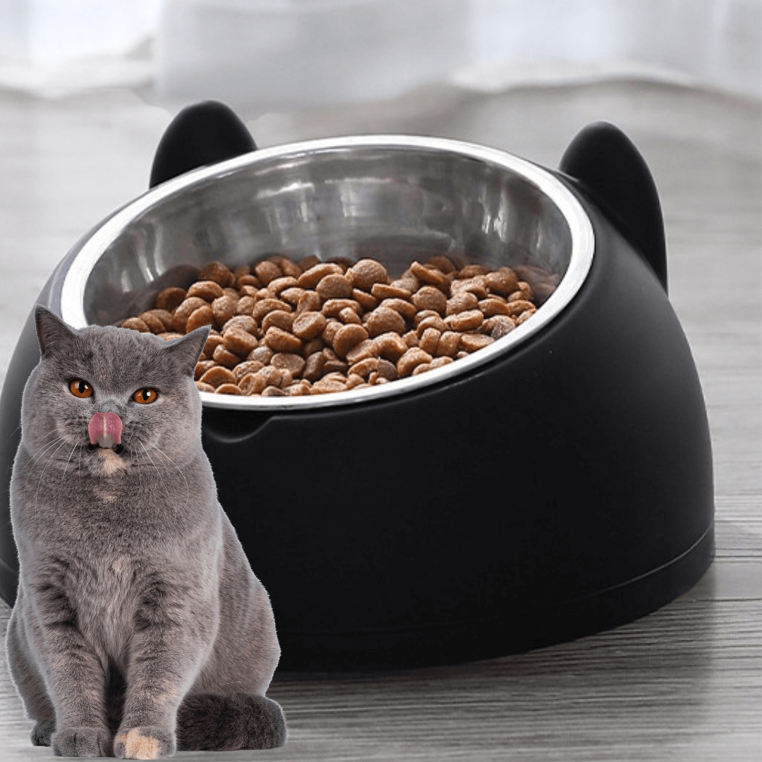 gamelle chat | chattounette - opaschats