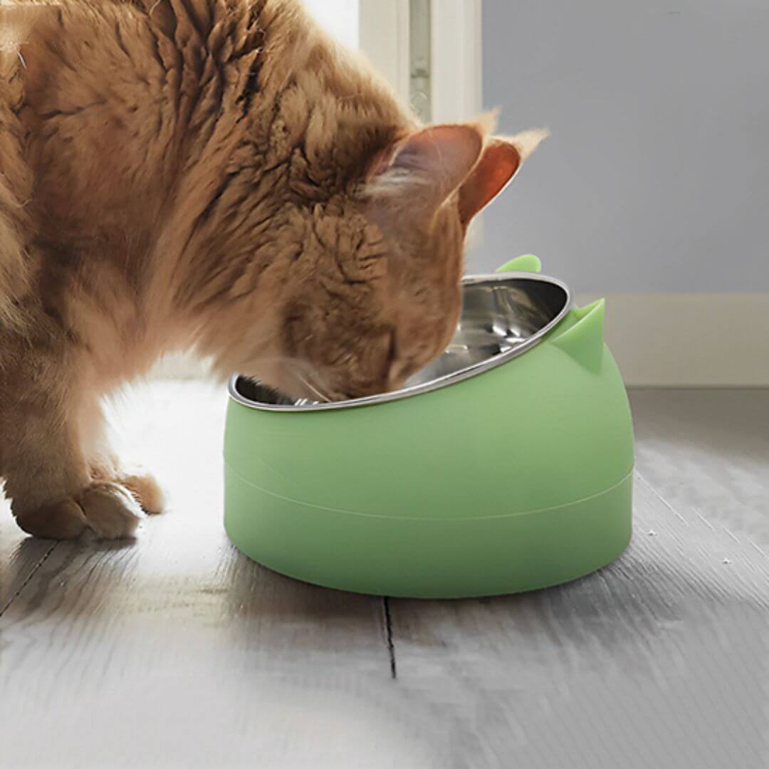 gamelle chat | chattounette - opaschats