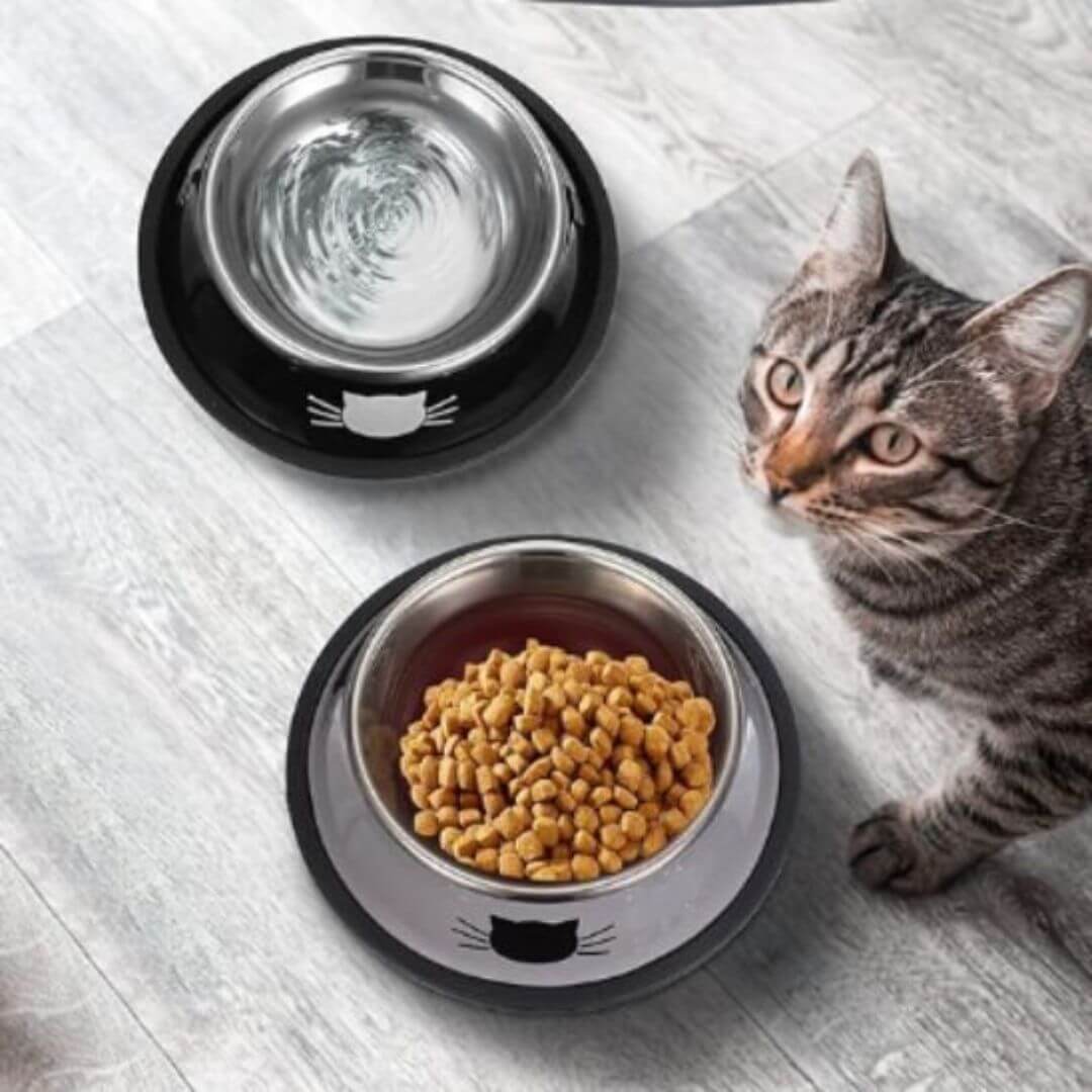 gamelle chat | chic cat bowl™ - opaschats