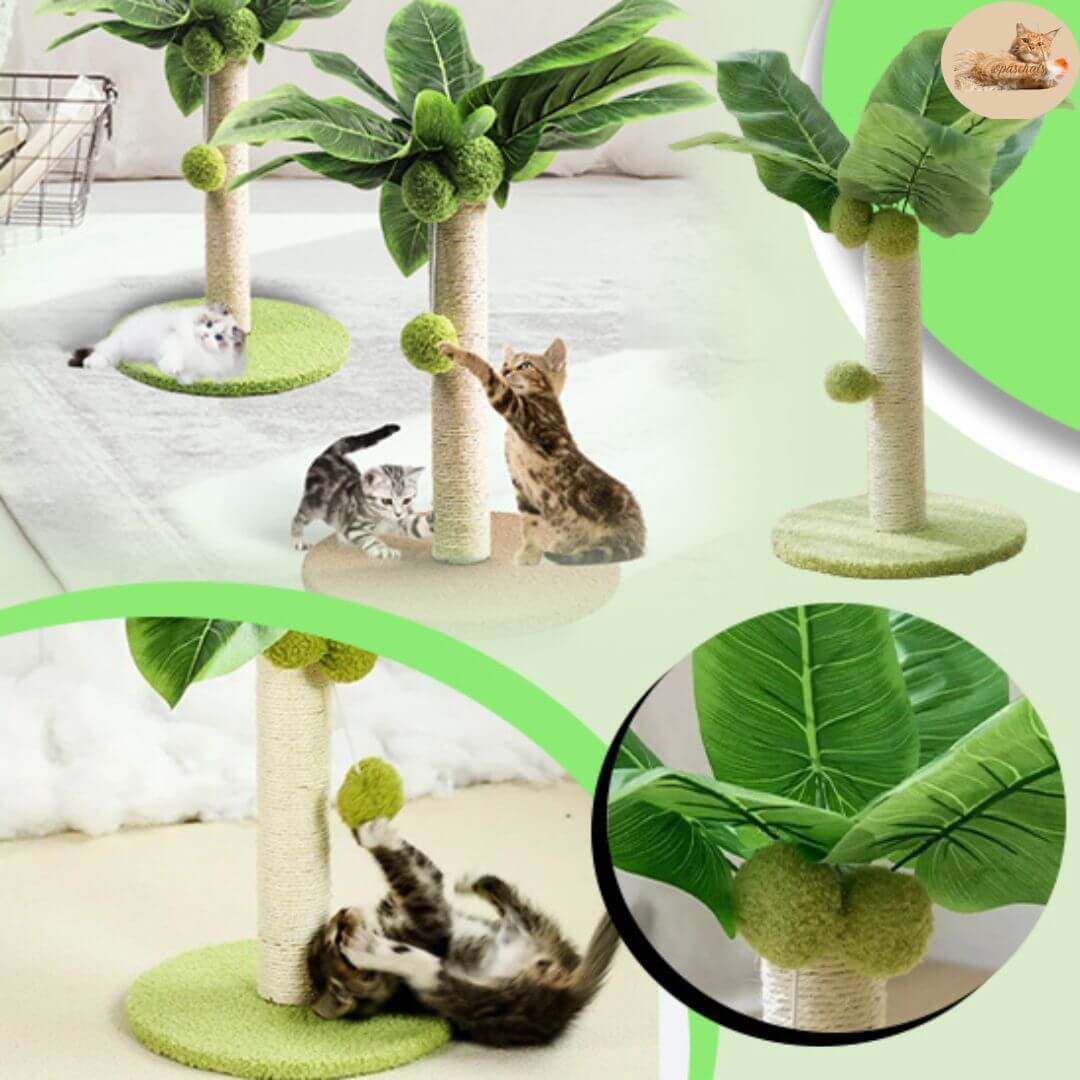 Griffoir arbre à chat - cat toy™ - Opaschats