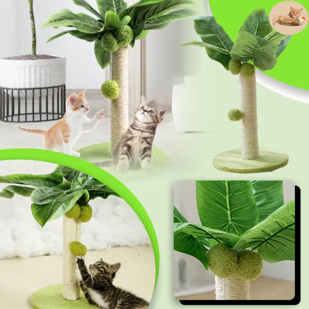 Griffoir arbre à chat - cat toy™ - Opaschats