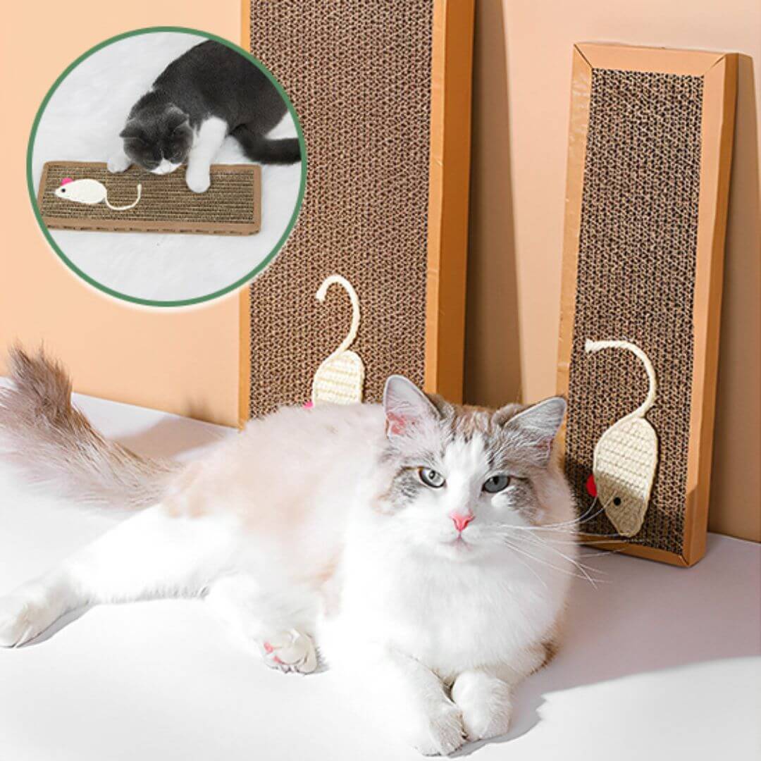 griffoir chat carton | scratching board™ - opaschats