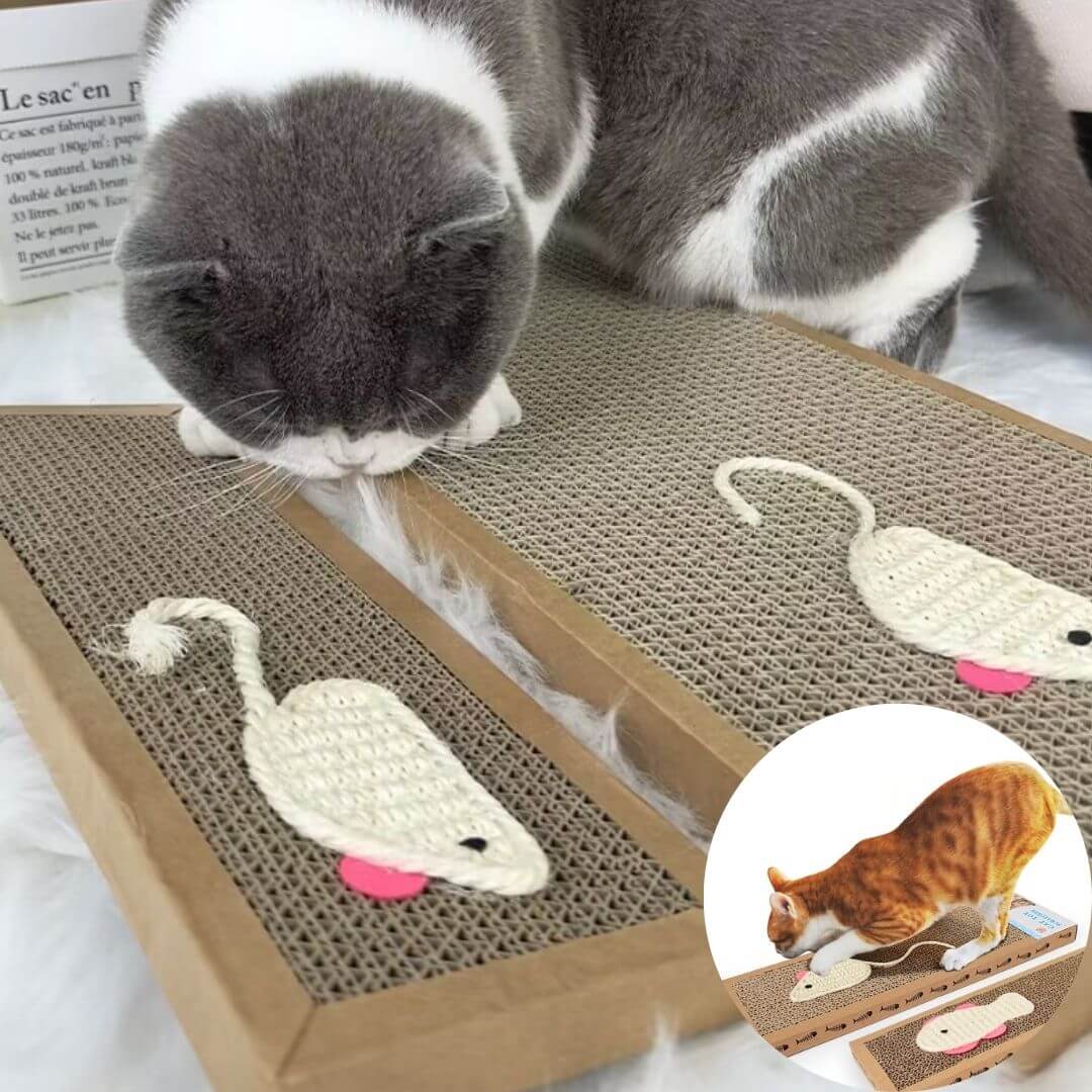 griffoir chat carton | scratching board™ - opaschats