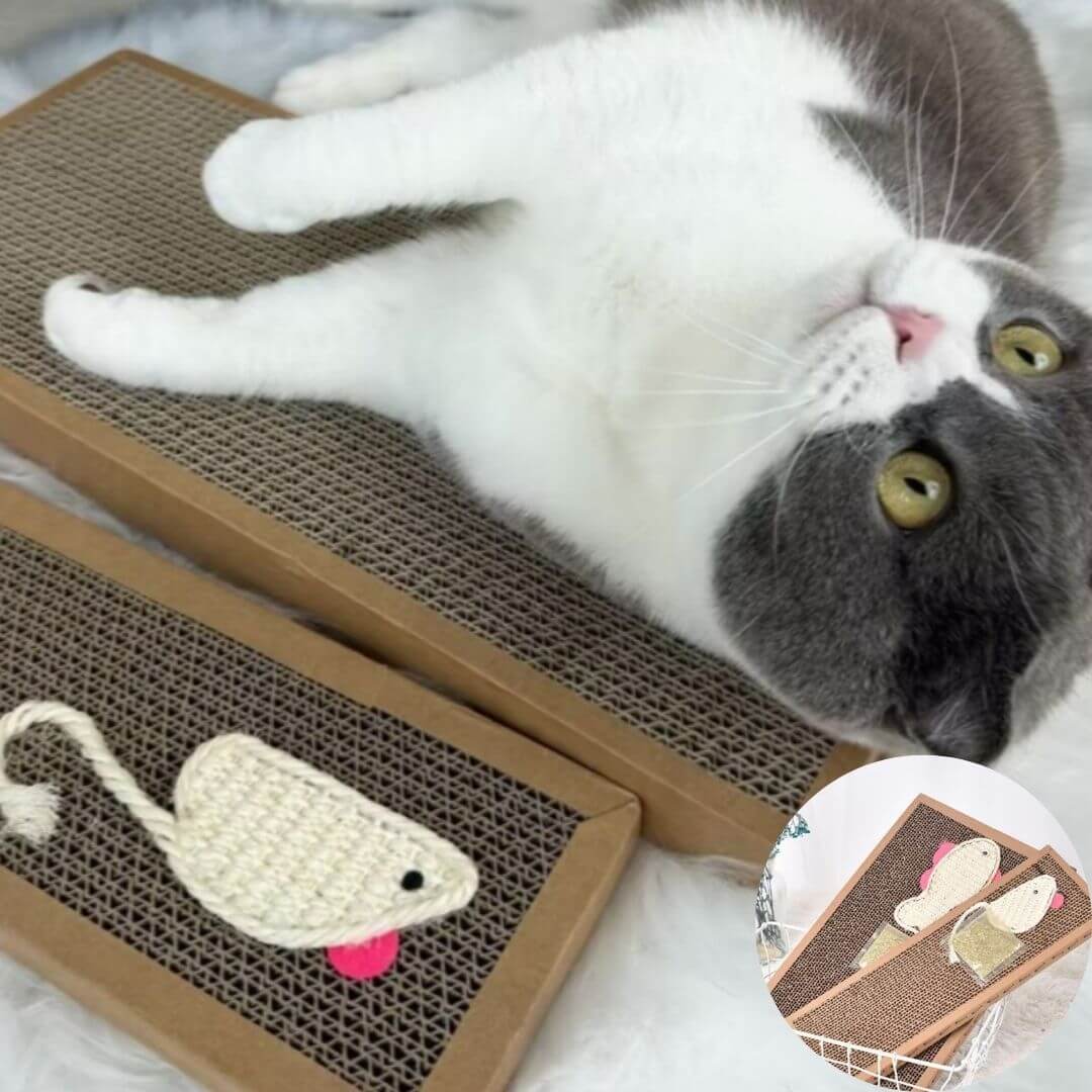 griffoir chat carton | scratching board™ - opaschats