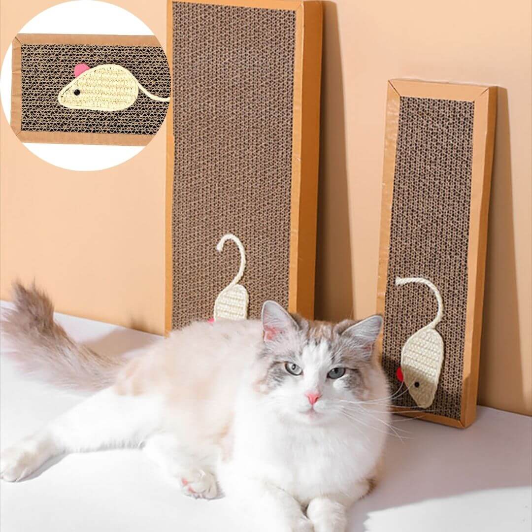 griffoir chat carton | scratching board™ - opaschats