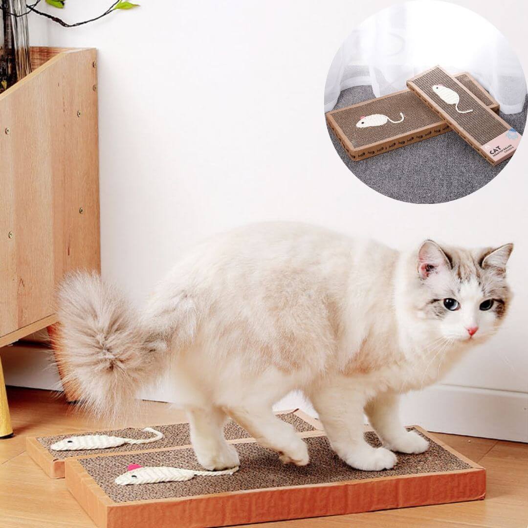 griffoir chat carton | scratching board™ - opaschats