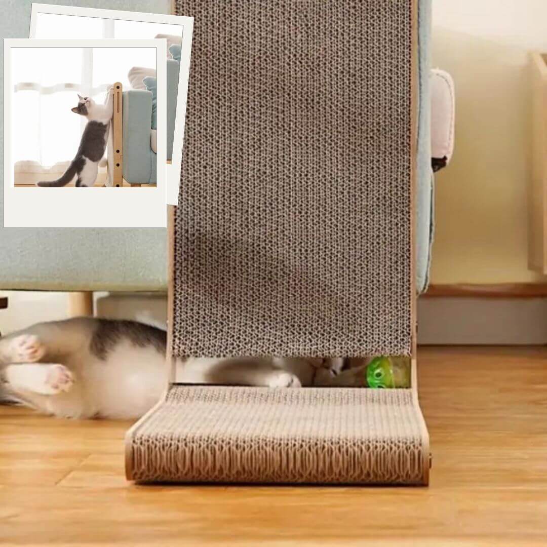 griffoir chat carton | shaped scratcher™ - opaschats