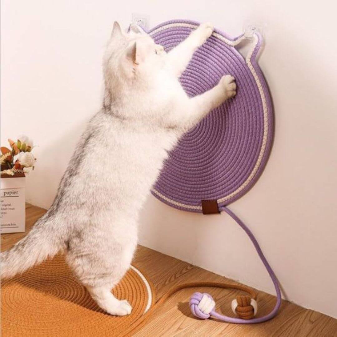 griffoir chat | cercle de griffes - opaschats