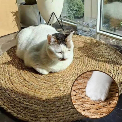 griffoir chat | cocon de grattage™ - opaschats