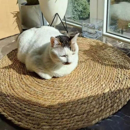 griffoir chat | cocon de grattage™ - opaschats