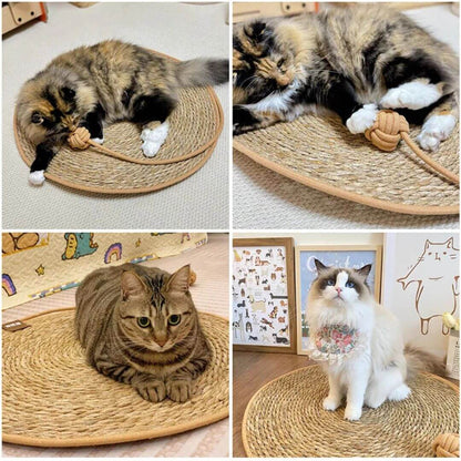 griffoir chat | cocon de grattage™ - opaschats