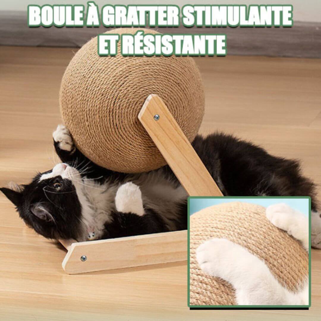 griffoir chat | protection mobilier™ - opaschats