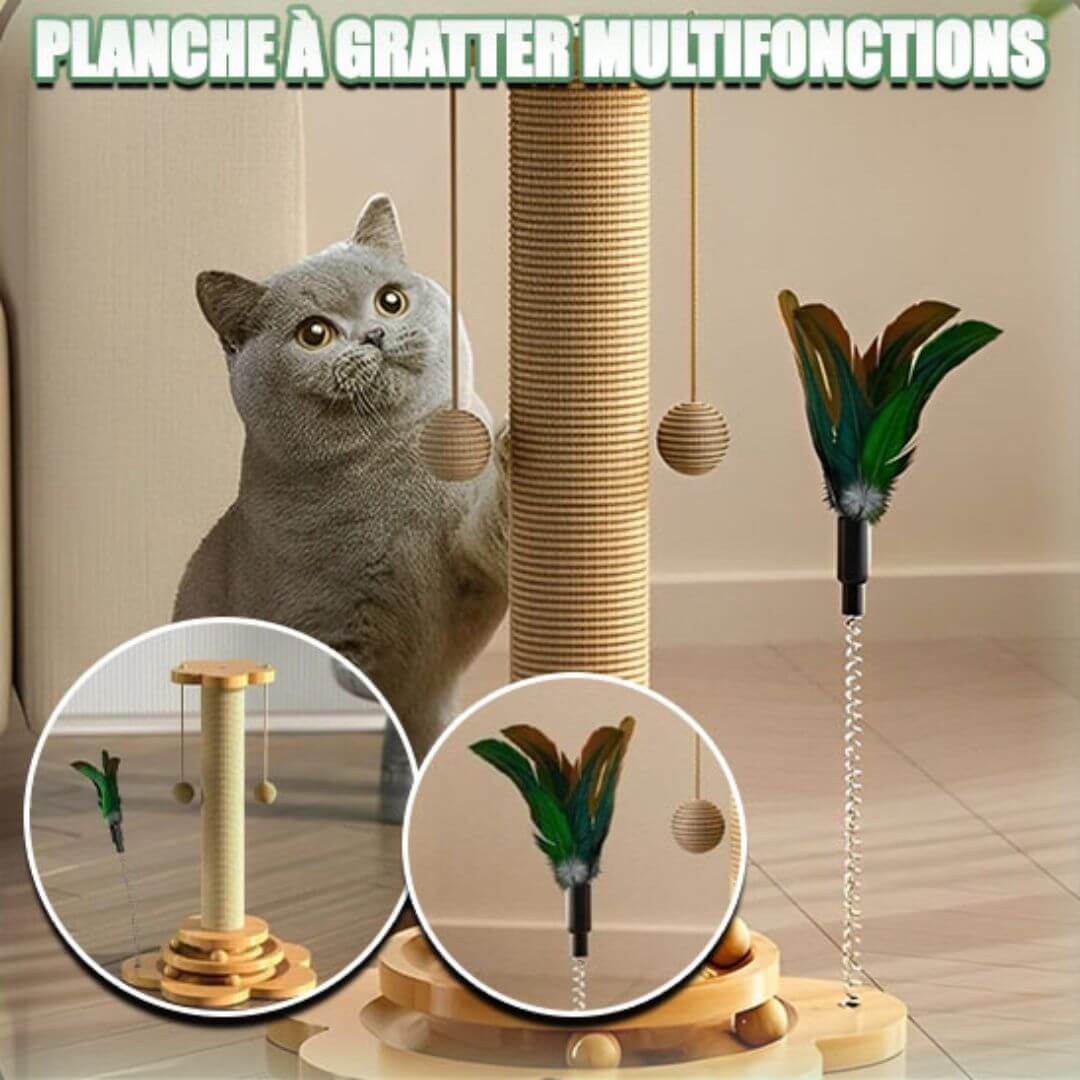 griffoir pour chat - arbre a chat™ - opaschats