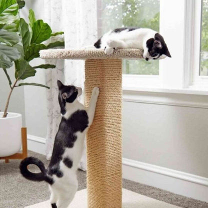 GRIFFOIR POUR CHAT | Corde en sisal™ - opaschats