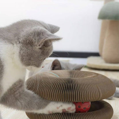 GRIFFOIR POUR CHAT | griffoir pour chat santé™ - opaschats