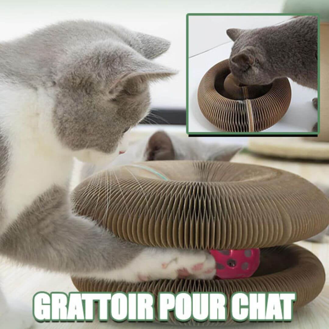 griffoir pour chat™ - griffoir pour chat santé - opaschats