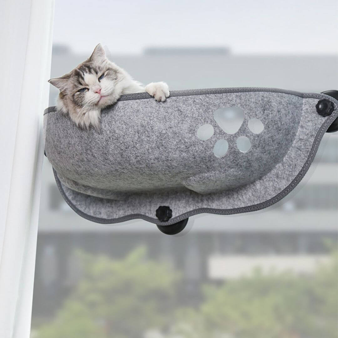 HAMAC CHAT | Exterior View™ - opaschats